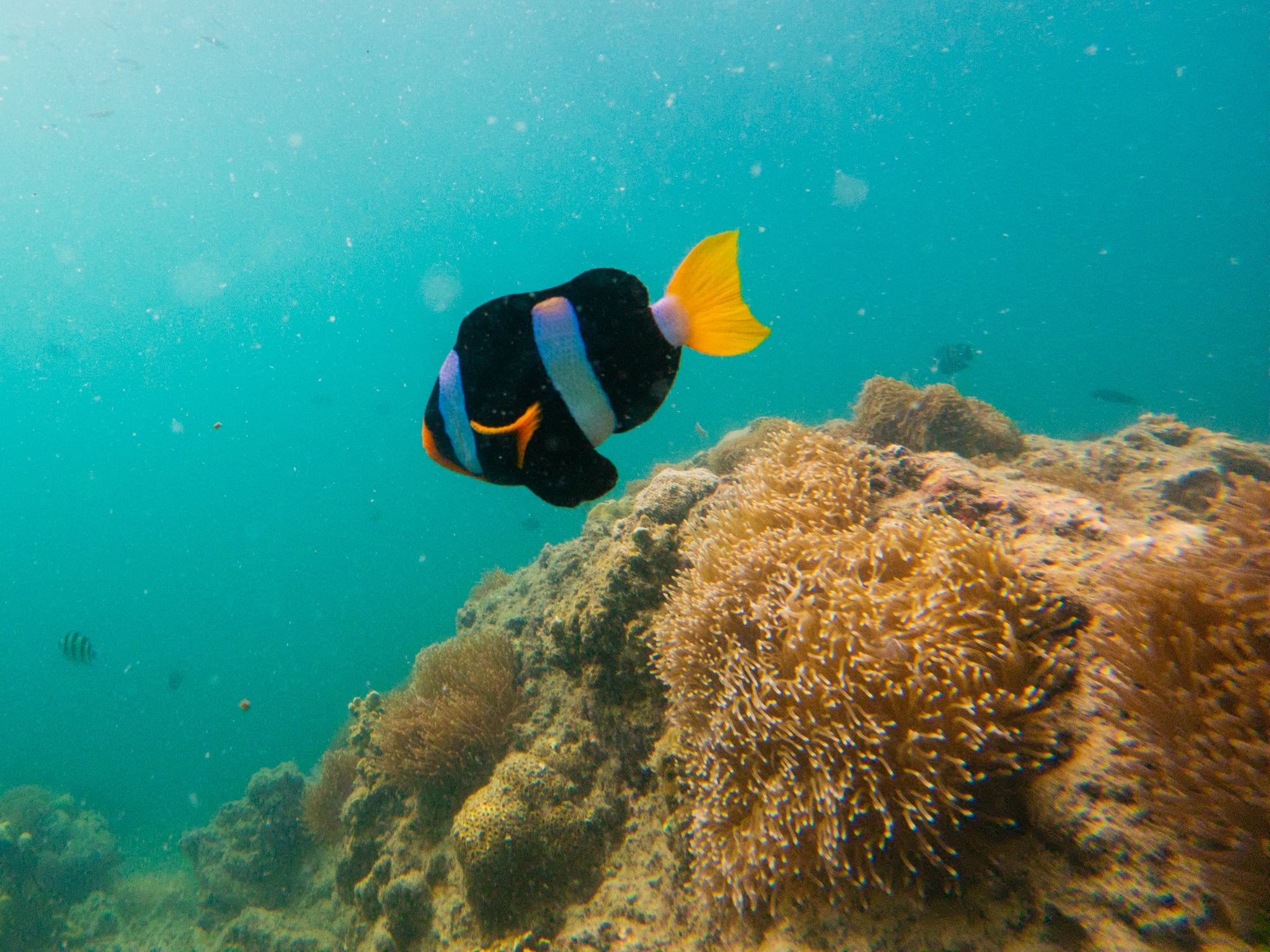 Thapwarin Resort Koh Ngai