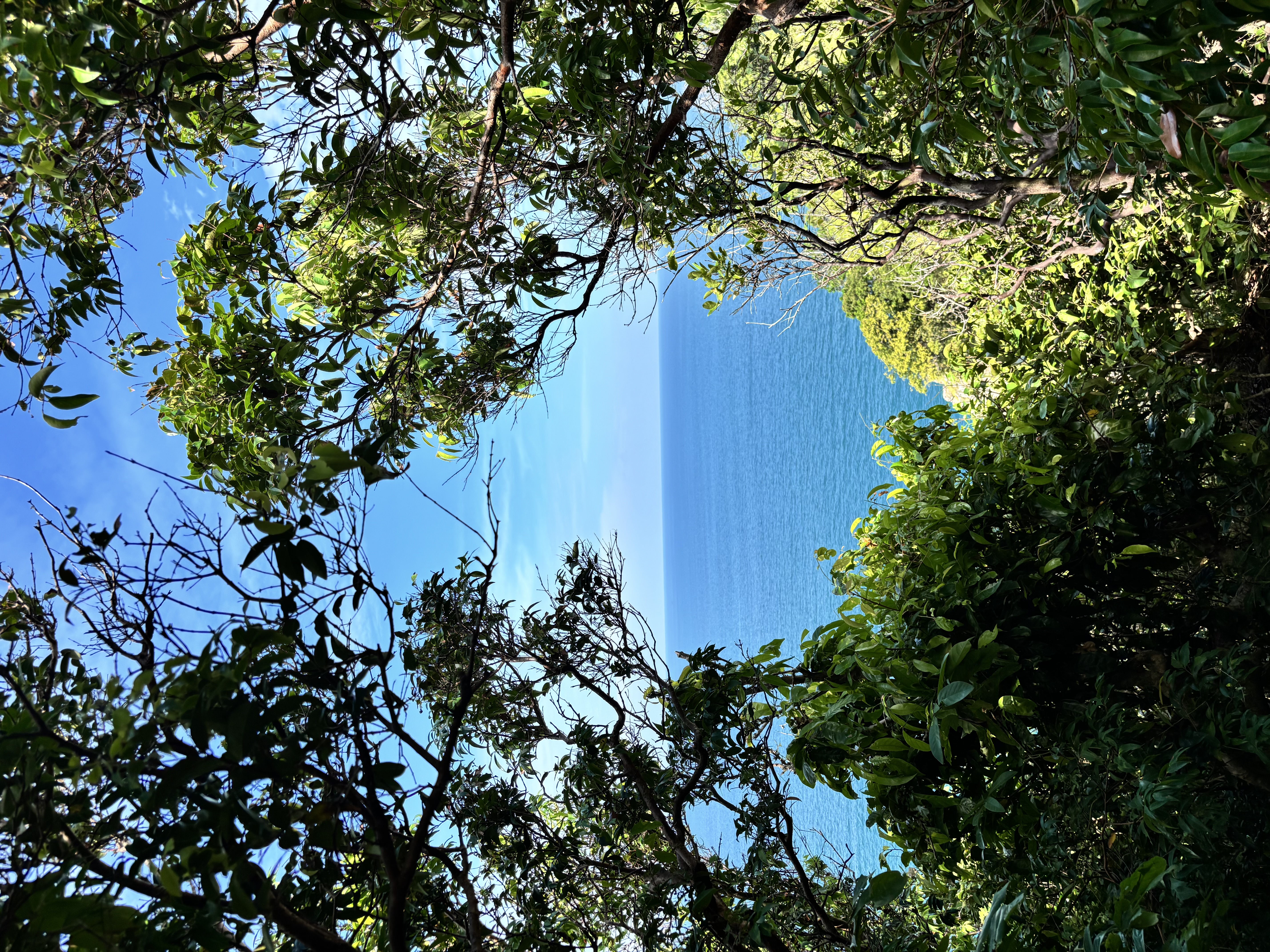 Thapwarin Resort Koh Ngai